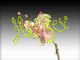 Maceta orquidea