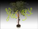 Ficus elastica bola h120