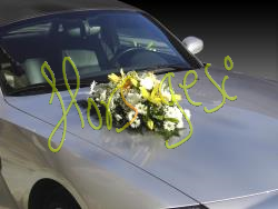 Decoracion coche 2