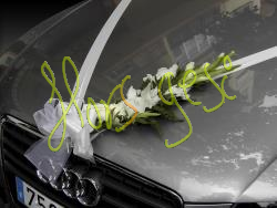 Decoracion coche 5