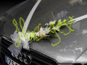 Decoracion coche 5
