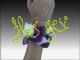 Corsage 1