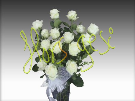 Ram 15 roses blanques