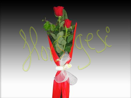 Dues roses