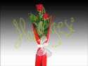 Dos rosas